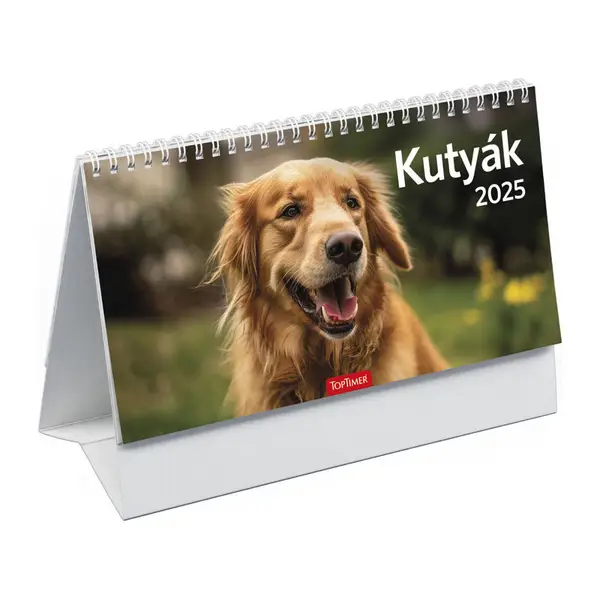 T058 KUTYÁK